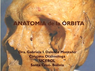 ANATOMIA de la ÓRBITA
Dra. Gabriela I. Dalence Montaño
Cirujana Otalmóloga
UCEBOL
Santa Cruz- Bolivia
 