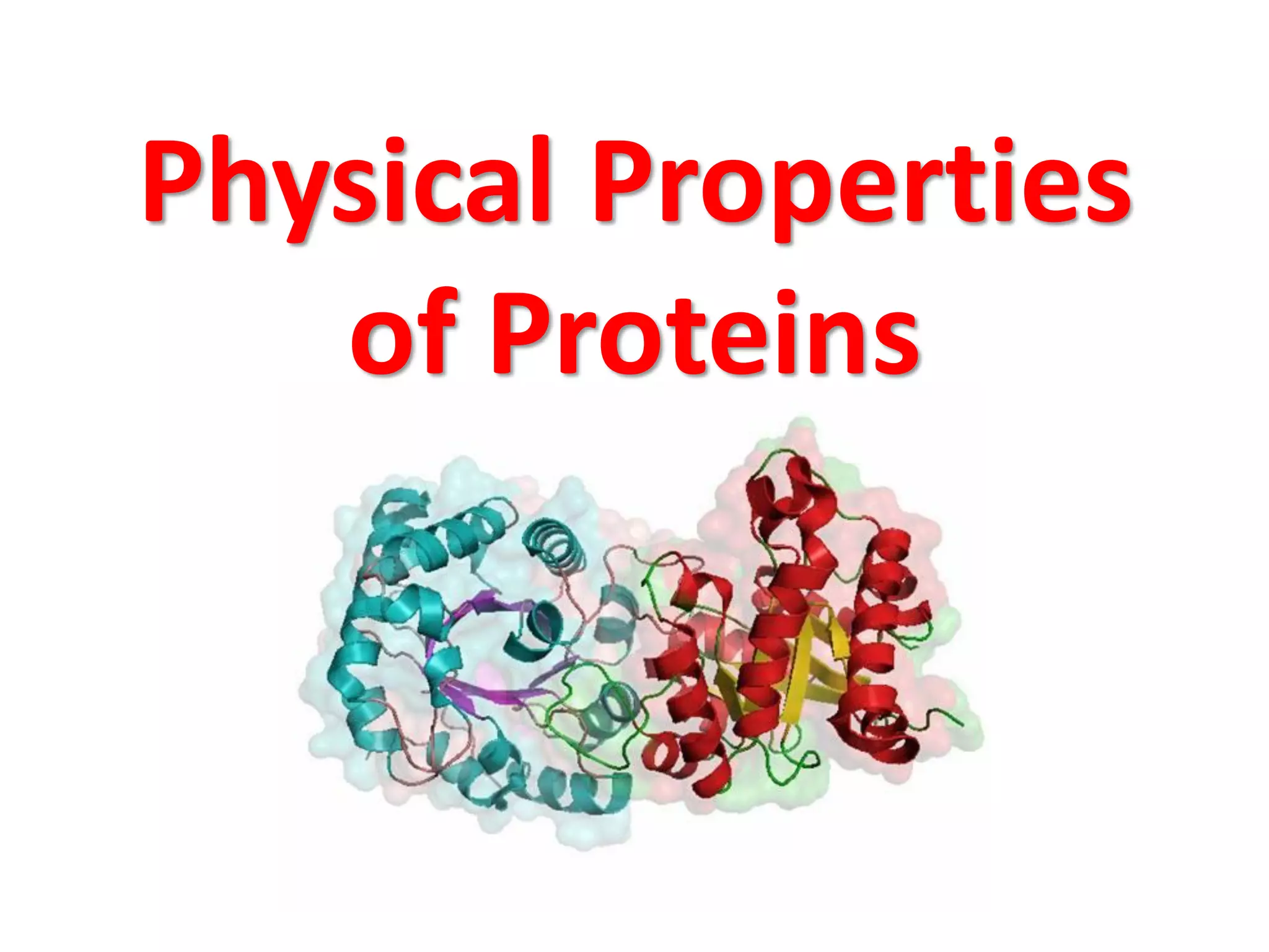 Physical Properties
of Proteins
 