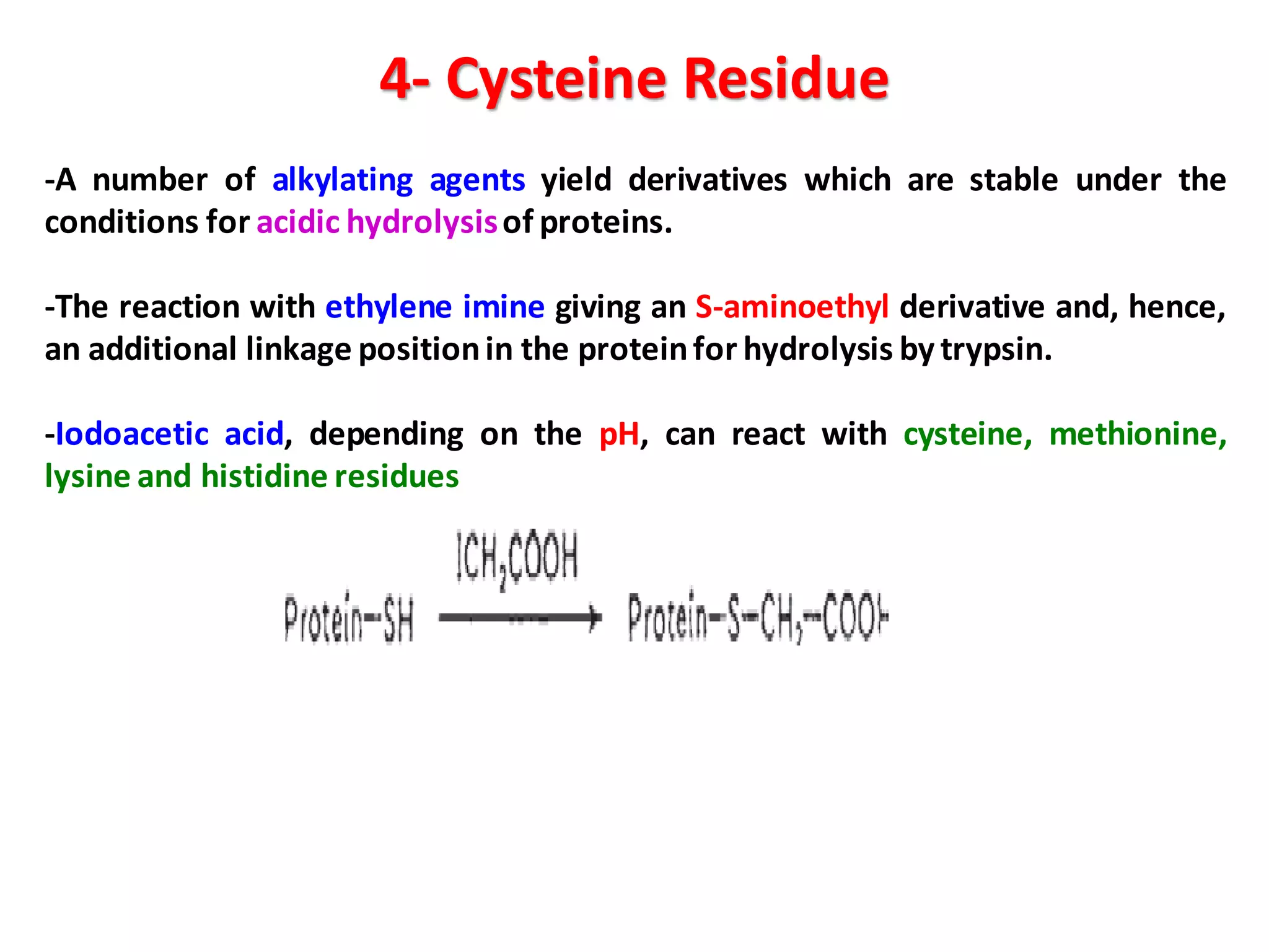 4- Cysteine Residue
-A number of alkylating agents yield derivatives which are stable under the
conditions for acidic hydrolysisof proteins.
-The reaction with ethylene imine giving an S-aminoethyl derivative and, hence,
an additional linkage positionin the proteinfor hydrolysis by trypsin.
-Iodoacetic acid, depending on the pH, can react with cysteine, methionine,
lysine and histidine residues
 