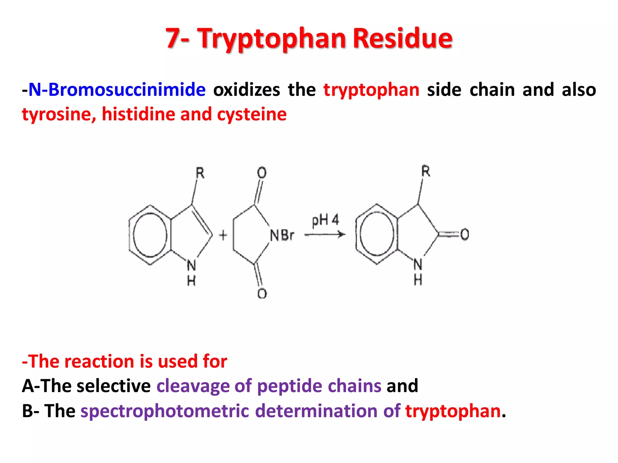 7- Tryptophan Residue
-N-Bromosuccinimide oxidizes the tryptophan side chain and also
tyrosine, histidine and cysteine
-The reaction is used for
A-The selective cleavage of peptide chains and
B- The spectrophotometric determination of tryptophan.
 