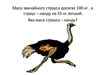 Маса звичайного страуса досягає 100 кг , а
страус – нанду на 55 кг легший.
Яка маса страуса – нанду?
 