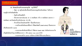 การขับถ่ายของคน
 