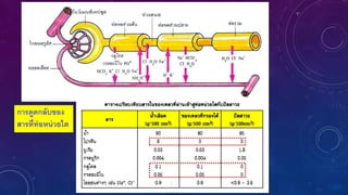 การดูดกลับของ
สารที่ท่อหน่วยไต
 