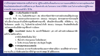 การรักษาดุลยภาพของกรด-เบสในร่างกาย ปฏิกิริยาเคมีเกือบทังหมดในกระบวนการเมแทบอลิซึมในร่างกายควบคุมโดยเอนไซม์
ซึ่งเอนไซม์แต่ละชนิดจะท้างานได้ในสภาพ pH ที่แตกต่างกัน เช่น ในกระเพาะ (กรด) ล้าไส้เล็ก (เบส) ในร่างกายเกิดจากปฏิกิริยาของ
การหายใจ (กรด) สามารถท้าได้ 3 วิธี คือ
 