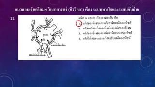 แนวสอบเข้าเตรียมฯ วิทยาศาสตร์ (ชีววิทยา) เรื่อง ระบบหายใจและระบบขับถ่าย
11.
 