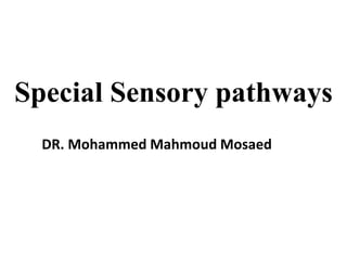 Special Sensory pathways
DR. Mohammed Mahmoud Mosaed
 