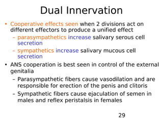 5.nervous system part 3 | PDF