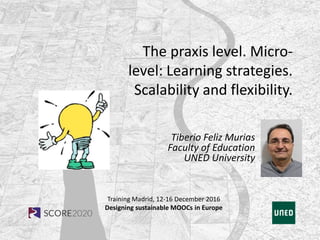 Training Madrid, 12-16 December 2016
Designing sustainable MOOCs in Europe
The praxis level. Micro-
level: Learning strategies.
Scalability and flexibility.
Tiberio Feliz Murias
Faculty of Education
UNED University
 