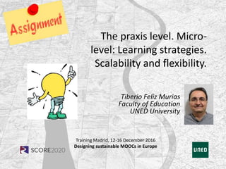 Training Madrid, 12-16 December 2016
Designing sustainable MOOCs in Europe
The praxis level. Micro-
level: Learning strategies.
Scalability and flexibility.
Tiberio Feliz Murias
Faculty of Education
UNED University
 
