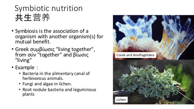 what is symbiotic nutrition in biology