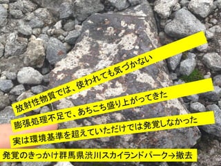 発覚のきっかけ群馬県渋川スカイランドパーク→撤去
 