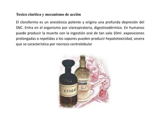 Toxico cinética y mecanismo de acción
El cloroformo es un anestésico potente y origina una profunda depresión del
SNC. Entra en el organismo por víarespiratoria, digestivodérmico. En humanos
puede producir la muerte con la ingestión oral de tan solo 10ml .exposiciones
prolongadas o repetidas a los vapores pueden producir hepatotoxicidad, severa
que se característica por necrosis centrolobular
 