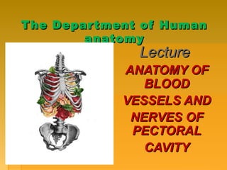 The Department of HumanThe Department of Human
anatomyanatomy
LectureLecture
ANATOMY OFANATOMY OF
BLOODBLOOD
VESSELS ANDVESSELS AND
NERVES OFNERVES OF
PECTORALPECTORAL
CAVITYCAVITY
 