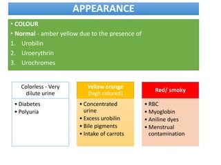APPEARANCE
• COLOUR
• Normal - amber yellow due to the presence of
1. Urobilin
2. Uroerythrin
3. Urochromes
Colorless - Very
dilute urine
• Diabetes
• Polyuria
Yellow orange
(high colored)
• Concentrated
urine
• Excess urobilin
• Bile pigments
• Intake of carrots
Red/ smoky
• RBC
• Myoglobin
• Aniline dyes
• Menstrual
contamination
 