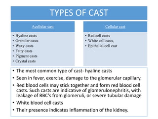 • The most common type of cast- hyaline casts
• Seen in fever, exercise, damage to the glomerular capillary.
• Red blood cells may stick together and form red blood cell
casts. Such casts are indicative of glomerulonephritis, with
leakage of RBC's from glomeruli, or severe tubular damage
• White blood cell casts
• Their presence indicates inflammation of the kidney.
TYPES OF CAST
Acellular cast
• Hyaline casts
• Granular casts
• Waxy casts
• Fatty casts
• Pigment casts
• Crystal casts
Cellular cast
• Red cell casts
• White cell casts,
• Epithelial cell cast
 