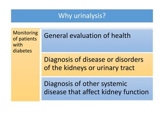 Why urinalysis?
Monitoring
of patients
with
diabetes
General evaluation of health
Diagnosis of disease or disorders
of the kidneys or urinary tract
Diagnosis of other systemic
disease that affect kidney function
 