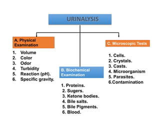 URINALYSIS
1. Volume
2. Color
3. Odor
4. Turbidity
5. Reaction (pH).
6. Specific gravity.
1. Proteins.
2. Sugers.
3. Ketone bodies.
4. Bile salts.
5. Bile Pigments.
6. Blood.
1. Cells.
2. Crystals.
3. Casts.
4. Microorganism
5. Parasites.
6.Contamination
A. Physical
Examination
B. Biochemical
Examination
C. Microscopic Tests
 