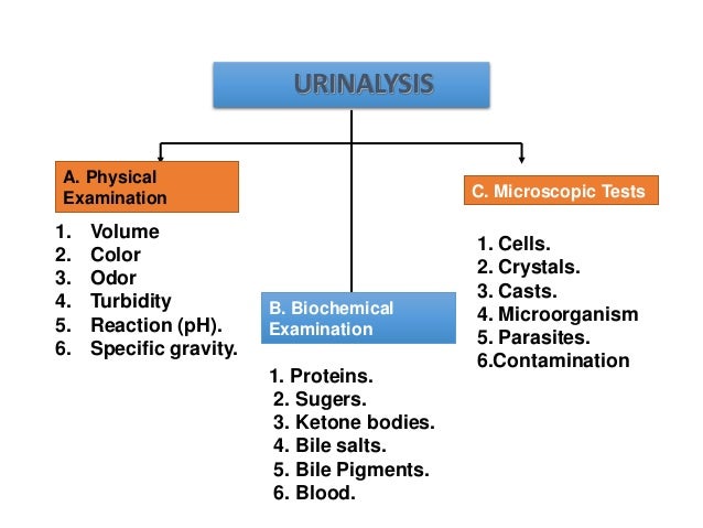 Urine analysis