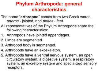 2
Phylum Arthropoda: general
characteristics
The name “arthropod” comes from two Greek words,
arthros - jointed, and podes - feet.
All representatives of the Phylum Arthropoda share the
following characteristics:
1. Arthropods have jointed appendages.
2. Limbs are segmented.
3. Arthropod body is segmented.
4. Arthropods have an exoskeleton.
5. Arthropods have a ventral nervous system, an open
circulatory system, a digestive system, a respiratory
system, an excretory system and specialized sensory
receptors.
 