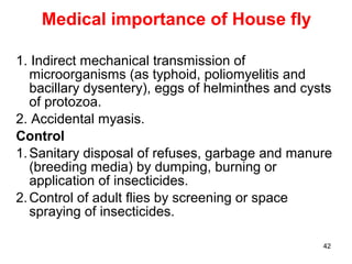 42
Medical importance of House fly
1. Indirect mechanical transmission of
microorganisms (as typhoid, poliomyelitis and
bacillary dysentery), eggs of helminthes and cysts
of protozoa.
2. Accidental myasis.
Control
1.Sanitary disposal of refuses, garbage and manure
(breeding media) by dumping, burning or
application of insecticides.
2.Control of adult flies by screening or space
spraying of insecticides.
 