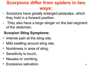 9
Scorpions differ from spiders in two
ways:
- Scorpions have greatly enlarged pedipalps, which
they hold in a forward position.
- They also have a large stinger on the last segment
of the abdomen.
Scorpion Sting Symptoms:
• Intense pain at the sting site,
• Mild swelling around sting site,
• Numbness in area of sting,
• Sensitivity to touch,
• Nausea or vomiting,
• Excessive salivation.
 