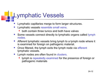 24-12
Lymphatic Vessels
 Lymphatic capillaries merge to form larger structures.
 Lymphatic vessels resemble small veins.
 both contain three tunics and both have valves
 Some vessels connect directly to lymphatic organs called lymph
nodes.
 Afferent lymphatic vessels bring lymph to a lymph node where it
is examined for foreign on pathogenic material.
 Once filtered, the lymph exits the lymph node via efferent
lymphatic vessels.
 Lymph nodes are often found in clusters.
 lymph is repeatedly examined for the presence of foreign or
pathogenic materials
 