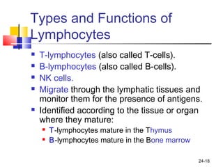 24-18
Types and Functions of
Lymphocytes
 T-lymphocytes (also called T-cells).
 B-lymphocytes (also called B-cells).
 NK cells.
 Migrate through the lymphatic tissues and
monitor them for the presence of antigens.
 Identified according to the tissue or organ
where they mature:
 T-lymphocytes mature in the Thymus
 B-lymphocytes mature in the Bone marrow
 