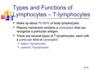 24-19
Types and Functions of
Lymphocytes – T-lymphocytes
 Make up about 70–85% of body lymphocytes.
 Plasma membrane contains a coreceptor that can
recognize a particular antigen.
 There are several types of T-lymphocytes, each with
a particular kind of coreceptor.
 helper T-lymphocytes
 cytotoxic T-lymphocytes
 