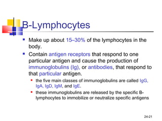 24-21
B-Lymphocytes
 Make up about 15–30% of the lymphocytes in the
body.
 Contain antigen receptors that respond to one
particular antigen and cause the production of
immunoglobulins (Ig), or antibodies, that respond to
that particular antigen.
 the five main classes of immunoglobulins are called IgG,
IgA, IgD, IgM, and IgE.
 these immunoglobulins are released by the specific B-
lymphocytes to immobilize or neutralize specific antigens
 