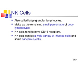 24-24
NK Cells
 Also called large granular lymphocytes.
 Make up the remaining small percentage of body
lymphocytes.
 NK cells tend to have CD16 receptors.
 NK cells can kill a wide variety of infected cells and
some cancerous cells.
 