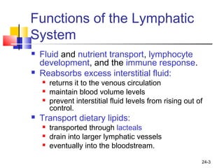 24-3
Functions of the Lymphatic
System
 Fluid and nutrient transport, lymphocyte
development, and the immune response.
 Reabsorbs excess interstitial fluid:
 returns it to the venous circulation
 maintain blood volume levels
 prevent interstitial fluid levels from rising out of
control.
 Transport dietary lipids:
 transported through lacteals
 drain into larger lymphatic vessels
 eventually into the bloodstream.
 