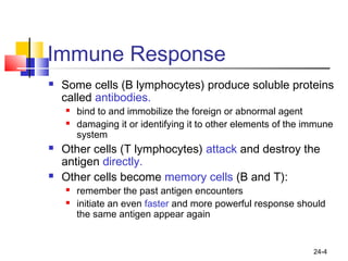 24-4
Immune Response
 Some cells (B lymphocytes) produce soluble proteins
called antibodies.
 bind to and immobilize the foreign or abnormal agent
 damaging it or identifying it to other elements of the immune
system
 Other cells (T lymphocytes) attack and destroy the
antigen directly.
 Other cells become memory cells (B and T):
 remember the past antigen encounters
 initiate an even faster and more powerful response should
the same antigen appear again
 
