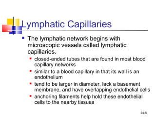 24-8
Lymphatic Capillaries
 The lymphatic network begins with
microscopic vessels called lymphatic
capillaries.
 closed-ended tubes that are found in most blood
capillary networks
 similar to a blood capillary in that its wall is an
endothelium
 tend to be larger in diameter, lack a basement
membrane, and have overlapping endothelial cells
 anchoring filaments help hold these endothelial
cells to the nearby tissues
 