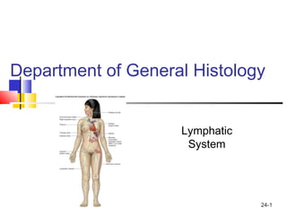 24-1
Department of General Histology
Lymphatic
System
 