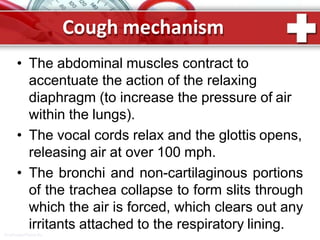 Cough mechanism
ProPowerPoint.Ru
• The abdominal muscles contract to
accentuate the action of the relaxing
diaphragm (to increase the pressure of air
within the lungs).
• The vocal cords relax and the glottis opens,
releasing air at over 100 mph.
• The bronchi and non-cartilaginous portions
of the trachea collapse to form slits through
which the air is forced, which clears out any
irritants attached to the respiratory lining.
 
