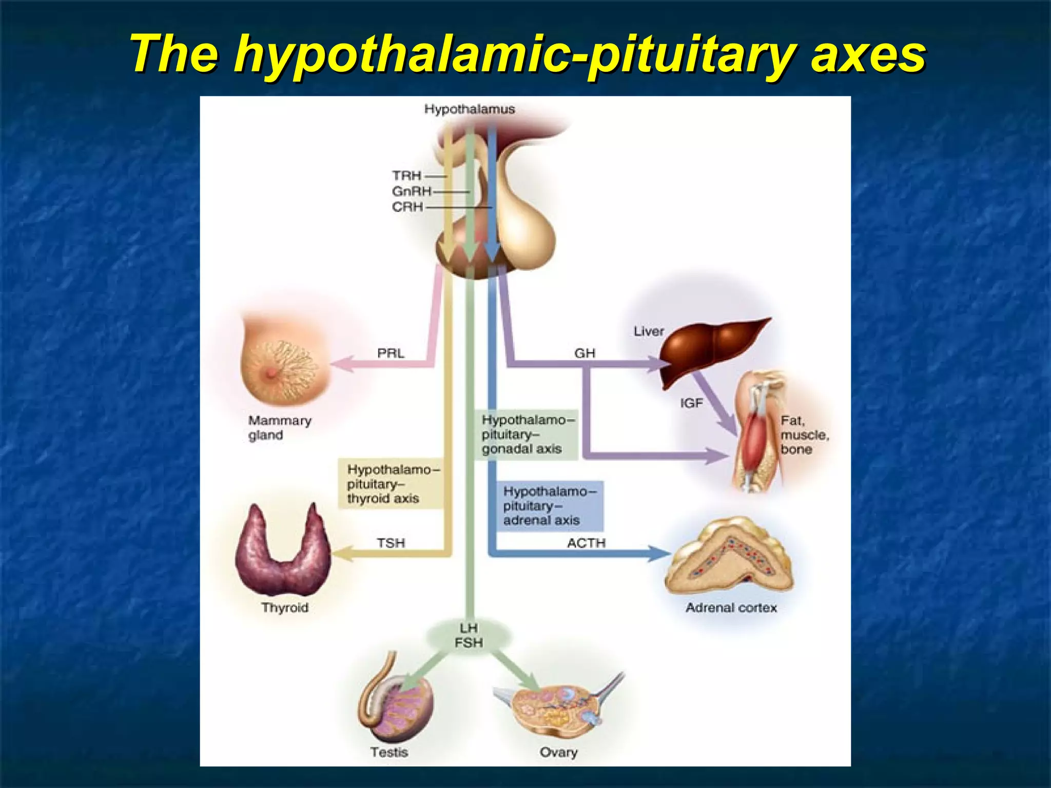Hypopituitarism & Hyperpituitarism | PPT
