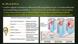 รก (PLACENTA)
• การตกไข่ การปฏิสนธิ การแบ่งเซลล์ และการฝังตัวของตัวอ่อนที่โพรงมดลูกซึ่งใช้เวลาประมาณ 7 วัน ภายหลังการฝังตัวของตัว
อ่อน ส่วนเซลล์โทรโฟบลาสทจะเจริญไปเป็นรก รกทาหน้าที่ 2 ประการคือ ทาหน้าที่แลกเปลี่ยนอาหาร อากาศและของเสียจาก
ทารกในครรภ์ของทารกในครรภ์ และทาหน้าที่เป็นต่อมไร้ท่อชั่วคราวในมดลูก ซึ่งสามารถผลิตฮอร์โมนมากมายที่จาเป็น
ระหว่างตั้งครรภ์และเป็นฮอร์โมนที่เกี่ยวข้องกับกลไกลการเจ็บครรภ์รวมทั้งฮอร์โมน เอสโทรเจนและฮอร์โมนโพรเจสเทอโรน
 