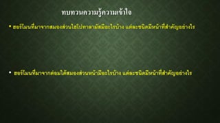 ทบทวนความรู้ความเข้าใจ
• ฮอร์โมนที่มำจำกสมองส่วนไฮโปทำลำมัสมีอะไรบ้ำง แต่ละชนิดมีหน้ำที่สำคัญอย่ำงไร
• ฮอร์โมนที่มำจำกต่อมใต้สมองส่วนหน้ำมีอะไรบ้ำง แต่ละชนิดมีหน้ำที่สำคัญอย่ำงไร
 