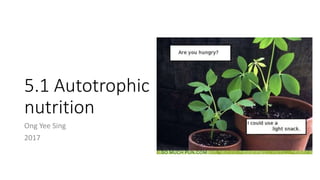 5.1 Autotrophic
nutrition
Ong Yee Sing
2017
 