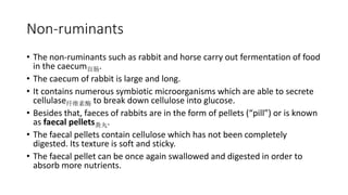 5.2 heterotrophic nutrition UEC Senior 1 Biology | PPTX