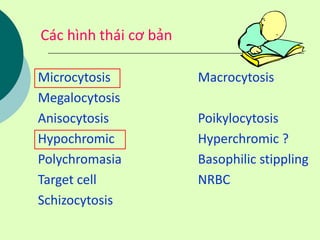 Các hình thái cơ bản
Microcytosis Macrocytosis
Megalocytosis
Anisocytosis Poikylocytosis
Hypochromic Hyperchromic ?
Polychromasia Basophilic stippling
Target cell NRBC
Schizocytosis
 
