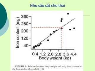 Nhu cầu sắt cho thai
 