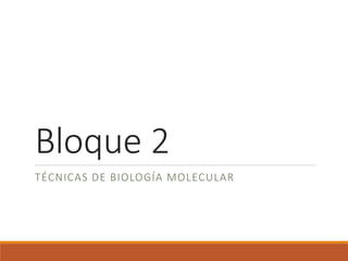 Bloque 2
TÉCNICAS DE BIOLOGÍA MOLECULAR
 