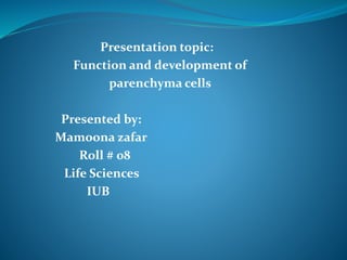 Presentation topic:
Function and development of
parenchyma cells
Presented by:
Mamoona zafar
Roll # 08
Life Sciences
IUB
 