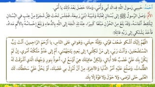 دعوة أهل الطائف 5