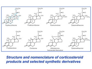 Structure and nomenclature of corticosteroid
products and selected synthetic derivatives
 