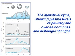 The menstrual cycle,
showing plasma levels
of pituitary and
ovarian hormones
and histologic changes
 