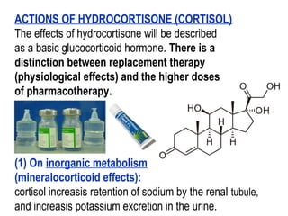 ACTIONS OF HYDROCORTISONE (CORTISOL)
The effects of hydrocortisone will be described
as a basic glucocorticoid hormone. There is a
distinction between replacement therapy
(physiological effects) and the higher doses
of pharmacotherapy.
(1) On inorganic metabolism
(mineralocorticoid effects):
cortisol increasis retention of sodium by the renal tubule,
and increasis potassium excretion in the urine.
 