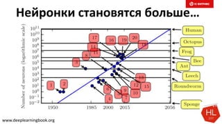 Нейронки становятся больше…
www.deeplearningbook.org
 