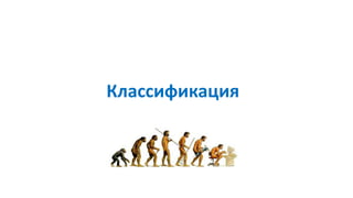 Классификация
 